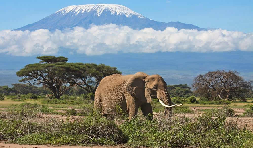 amboseli-national-park