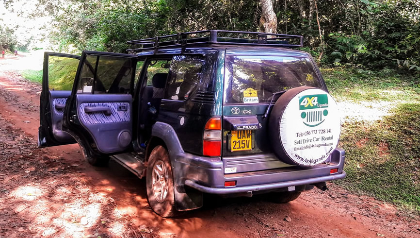 car hire with a driver